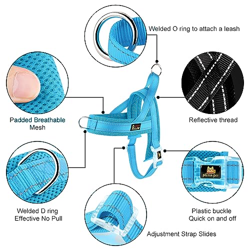 No Pull Dog Harness for Small Dogs (S: chest 17"-19.7" / Cyan)