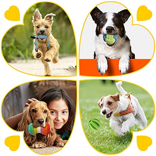 25 Pack Luxury Dog Chew Toys (25 Pack (Value-Toys))