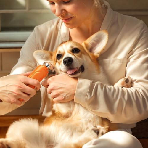 Dog Nail Grinder (Summer Orange)