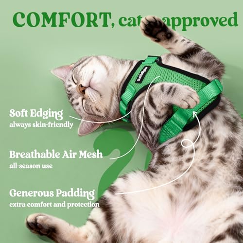 Cat Harness and Leash Set (S / Grass Green)