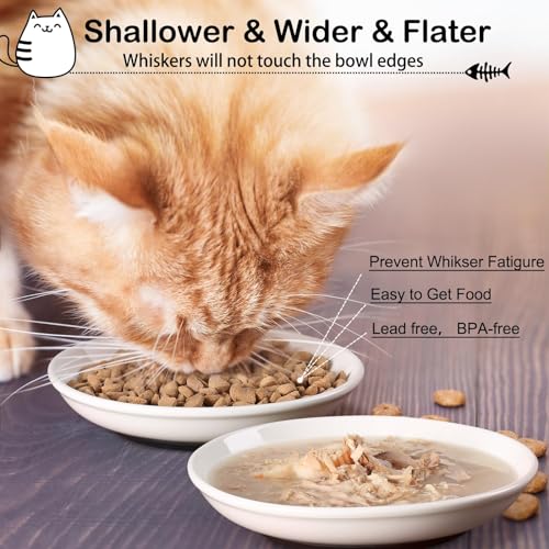 Cat Food Bowl (Shallower-3 Pack)