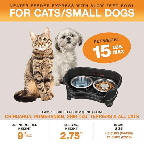 Express Mess Proof Dog Bowls Elevated for Small Breed (Small w/ Metal Slow Feed Bowl / Midnight Black)
