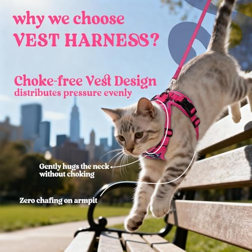 Cat Harness and Leash Set (S / Coconut Fuchsia)