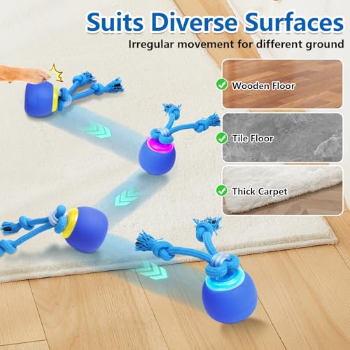 Interactive Dog Toys (Dark blue)