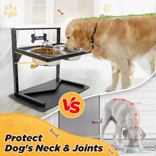 Elevated Dog Bowls