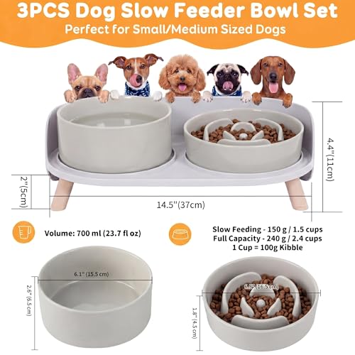 Elevated Slow Feeder Dog Bowls with Splash Proof Stand (Medium / Grey)