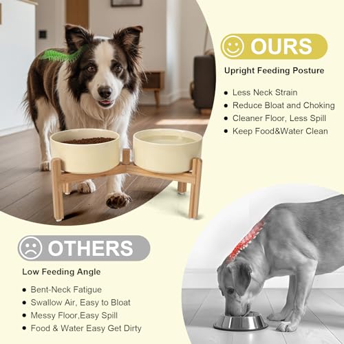 Elevated Dog Bowls Ceramic (7.3 in - 5.3 cups / Beige)