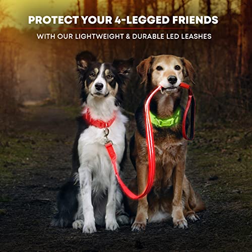 LED Light Up Dog Leash (4 Feet / Ruby Red)