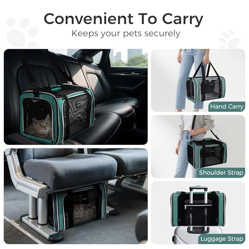 Pet Travel Carrier (Green / 17.0"L x 11.0"W x 12.0"H)