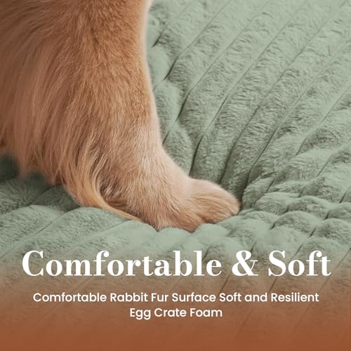 Extra Large Dog Bed Orthopedic Foam with Waterproof Lining (XX-L(47"*29"*4") / Light Green)