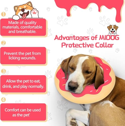 Inflatable Dog Cone (Grapefruit / L+(11"-14"))