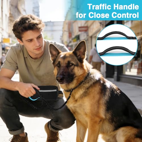 Hands Free Dog Leash with Zipper Pouch (Black)