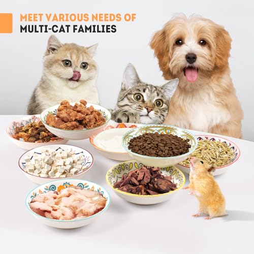 Cat Food Bowl (Boho–8 Pack)
