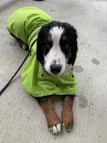 Dog Raincoat Reflective Waterproof Dog Rain Jacket Lightweight Rain Coat for Small Medium Large Dogs (Green / Medium)