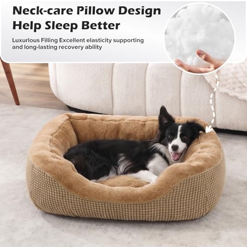Small Dog Bed for Small Dogs (S PLUS (25"x21"x8") / Brown)