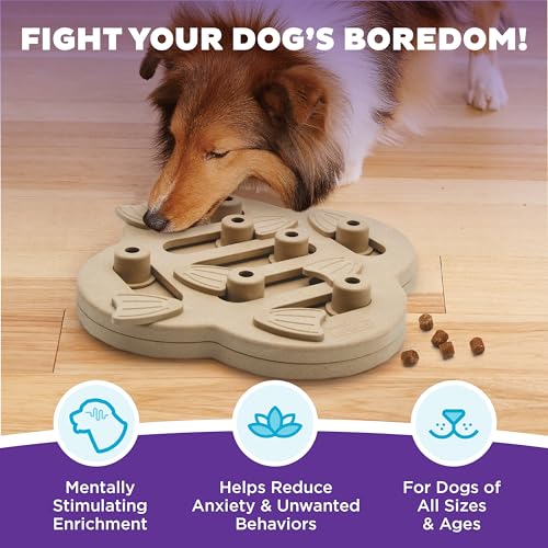 by Nina Ottosson Dog Hide N' Slide Treat Puzzle Enrichment Toy (Dog Hide-N-Slide (Tan) / 1 Count (Pack of 1))