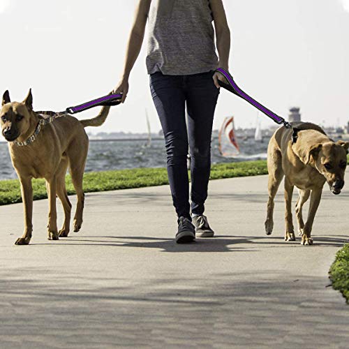 Short Dog Leash (Wide-Purple)