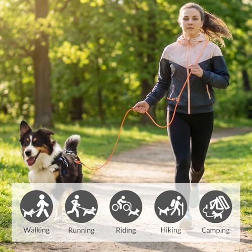 8.2ft Hands Free Dog Leash (Orange)