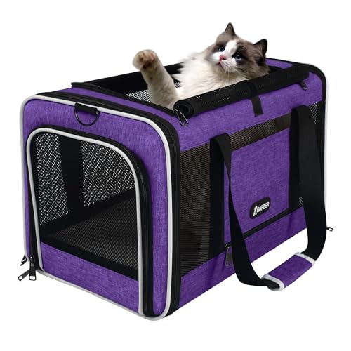 Pet Carrier for Cat 18x11x11 Inch (Purple / 18.0"L x 11.0"W x 11.0"H)