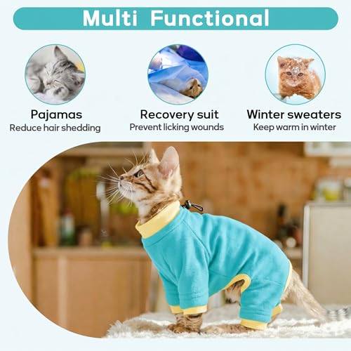 Cat Behavior Control Sweater (Large / Turquoise)