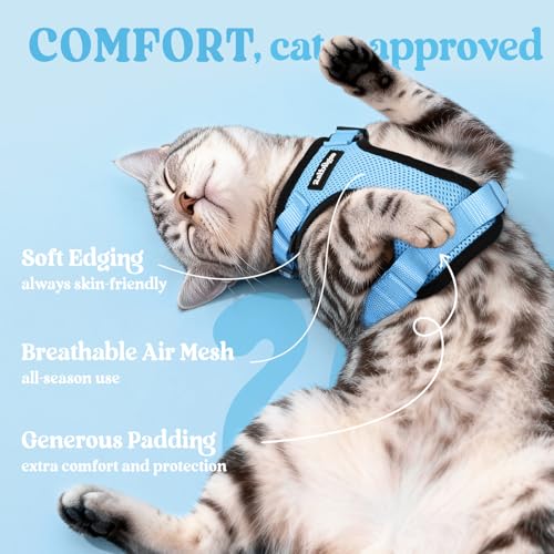 Cat Harness and Leash Set (S / Light Blue)