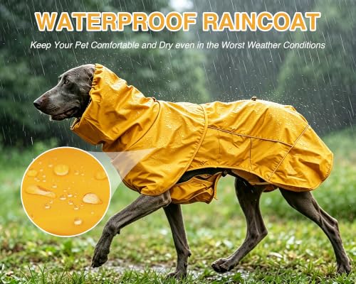 Dog Raincoat with Hood (yellow (Mesh Lining) / 3XL)