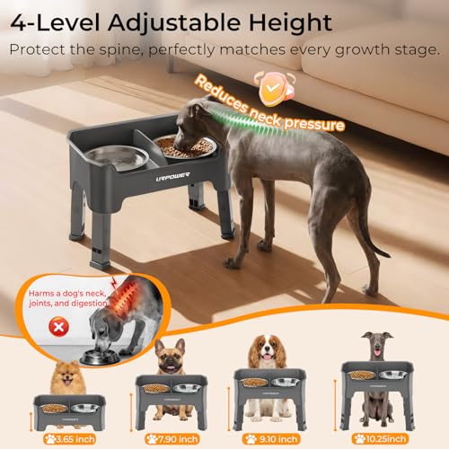 Mess Proof Elevated Dog Bowls (Grey / Small)