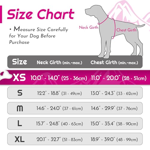 Dog Harness for Small Dogs (X-Small / Rose Red)