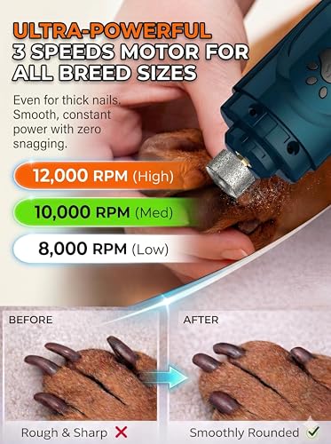 Super Quiet Dog Nail Grinder & Clippers Kit with 2 LED Lights (A-Blue)