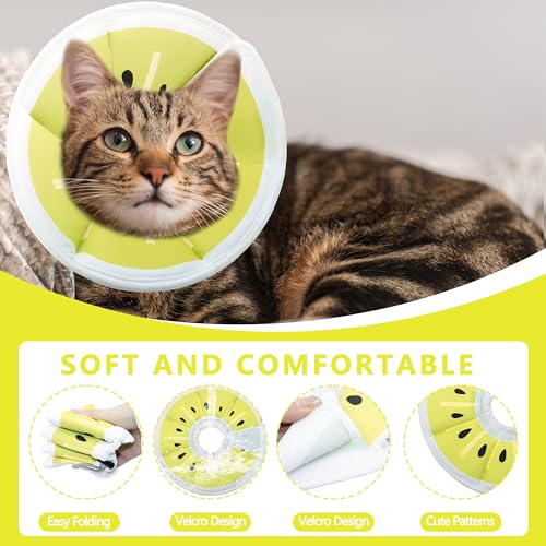 Soft Adjustable Cat Cone Collar (Gold Kiwi / Medium)
