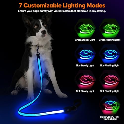 LED Dog Leash Ultra Bright (4 Ft)