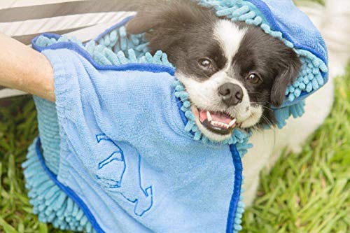 Quick Dry Towel for Dogs (Blue)
