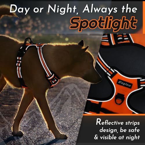 Dog Harness for Large Dogs (X-large / Orange)