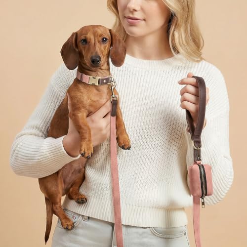 PU Leather Dog Leash for Small Dogs (Pink / 5/8"x 5FT)