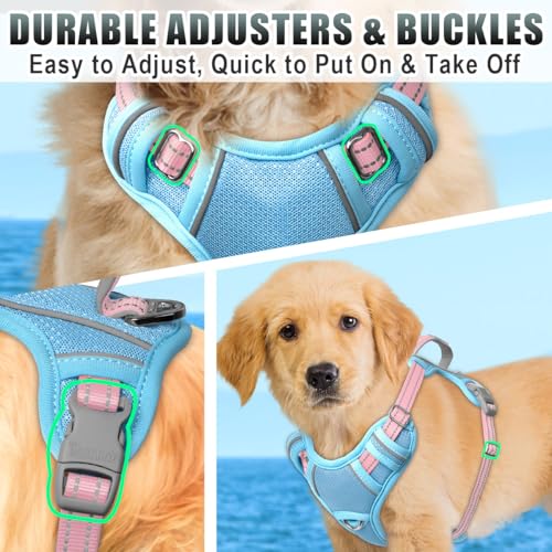 Dog Harness for Small Sized Dog No Pull Dog Vest ID Tag Pocket (Baby Blue & Baby Pink / X-Small)