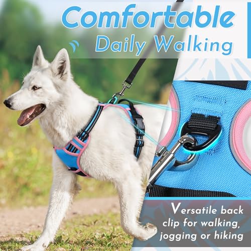 Dog Harness for Medium Sized Dogs (Medium / Pink & Sky Blue)