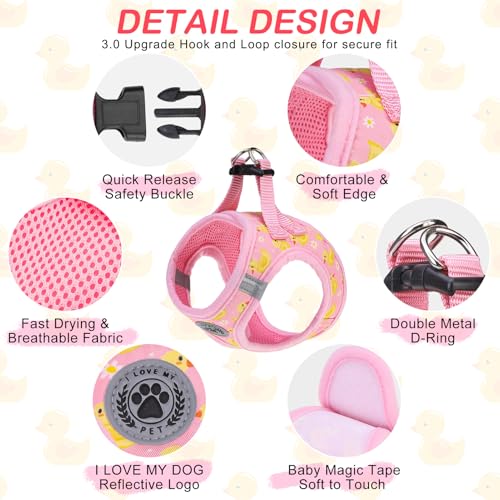Small Dog Harness and Leash Set (Small(Chest Girth 14.5" - 16") / Pink Ducks)