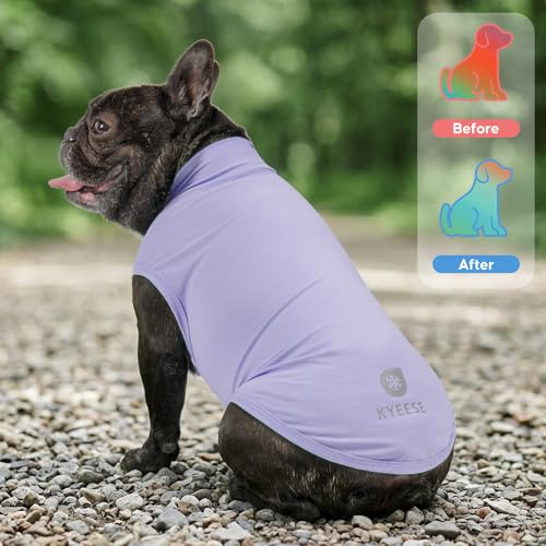2Pack Dog Cooling Shirt with UPF 50+ UV Protection (X-Large (19-27lbs) / Purple)