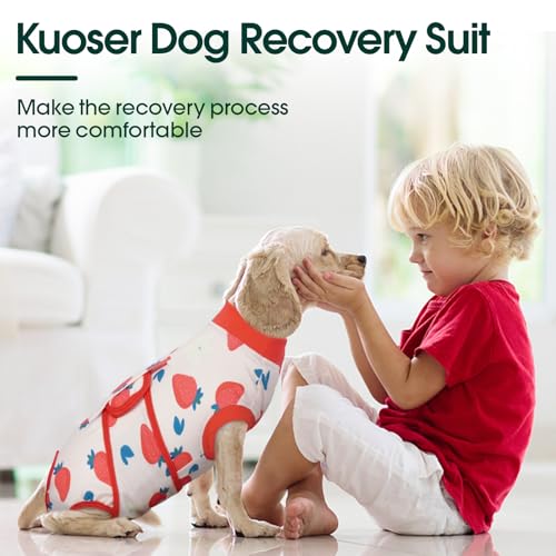 Dog Recovery Suit (Strawberry Red / XX-Large)