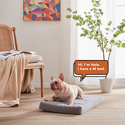 Memory Foam Large Dog Bed (Light Grey / Medium-29"x 18" x 3")
