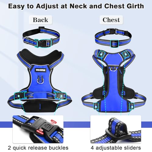 Dog Harness No Pull (Medium / Blue)