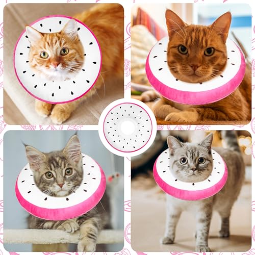 Cat Cone Collar Soft (Dragonfruit / Small)