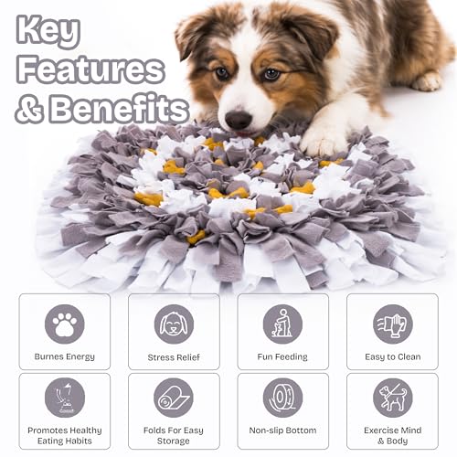 Snuffle Mat for Dogs