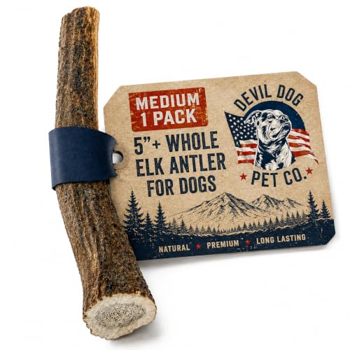 Whole Elk Antlers for Dogs (WHOLE - Medium - 1 Pack)