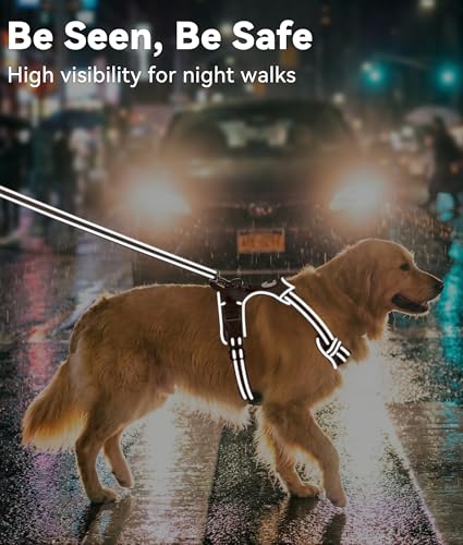 No Pull Dog Harness for Small Dogs (Small / Brown)