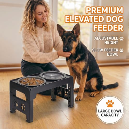 Collapsible Dog Bowls Raised Elevated Adjust Stand (Black)