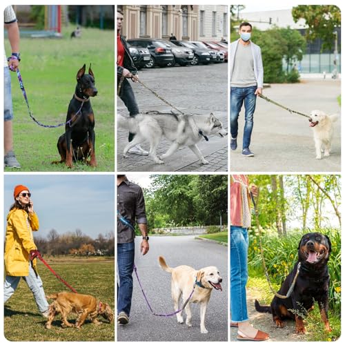 Heavy Duty Dog Leash for Medium Large Dogs (Black)