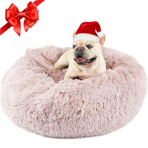 Covered Medium Dog Bed with Blanket Attached Calming Burrow Beige (26.0"L x 26.0"W x 9.0"Th / Beige)