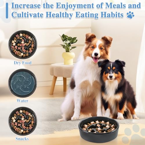 Ceramic Slow Feeder Dog Bowls (Black-M)