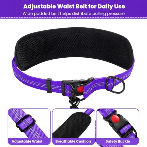 Hands Free Double Dog Leash (Purple)